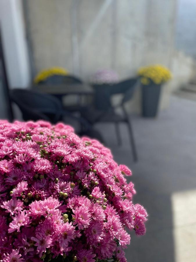 Residence 33 Szarajevó Kültér fotó